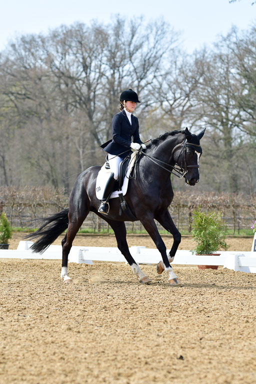 Reitsportzentrum Bremervörde | 10421 Dressur M++_307 