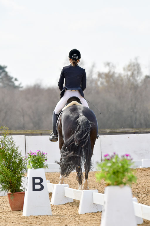 Reitsportzentrum Bremervörde | 10421 Dressur M++_308 