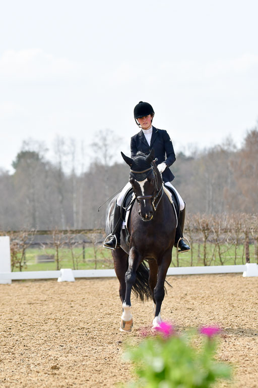 Reitsportzentrum Bremervörde | 10421 Dressur M++_309 