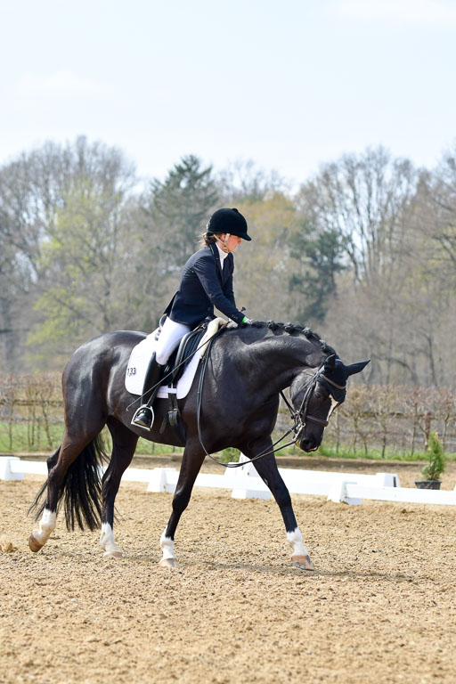 Reitsportzentrum Bremervörde | 10421 Dressur M++_311 