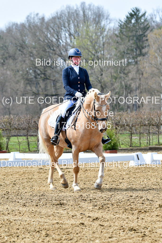 Reitsportzentrum Bremervörde | 170421 Dressur M+ _001