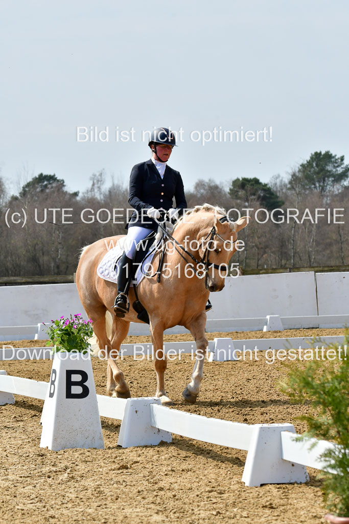 Reitsportzentrum Bremervörde | 170421 Dressur M+ _005
