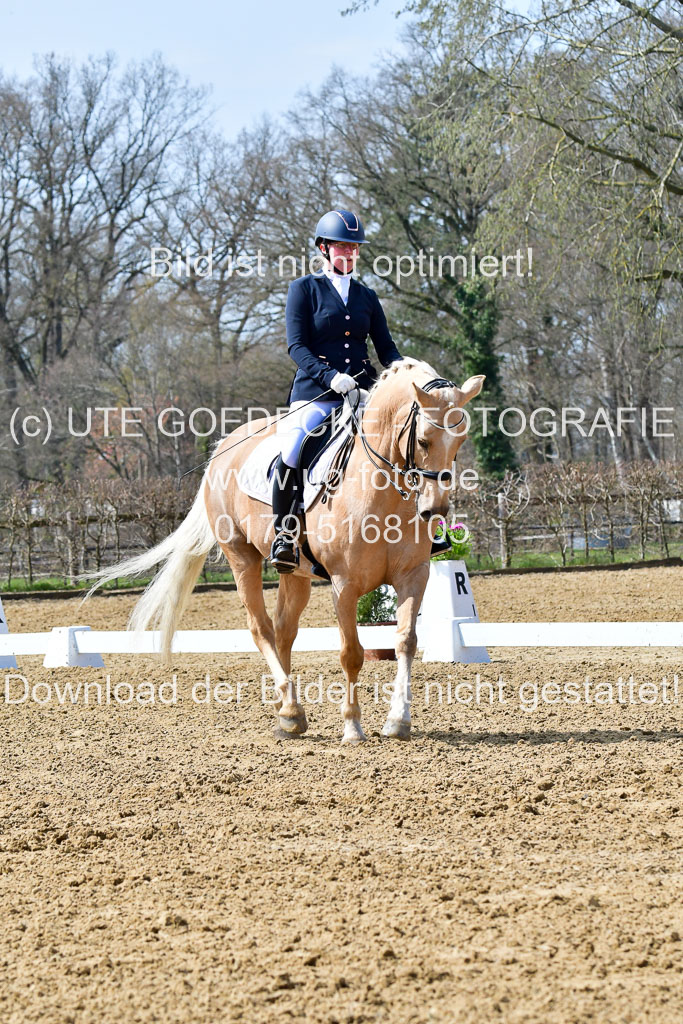 Reitsportzentrum Bremervörde | 170421 Dressur M+ _006