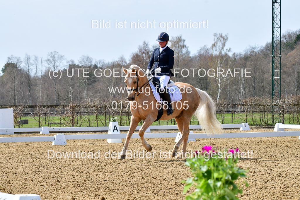 Reitsportzentrum Bremervörde | 170421 Dressur M+ _008