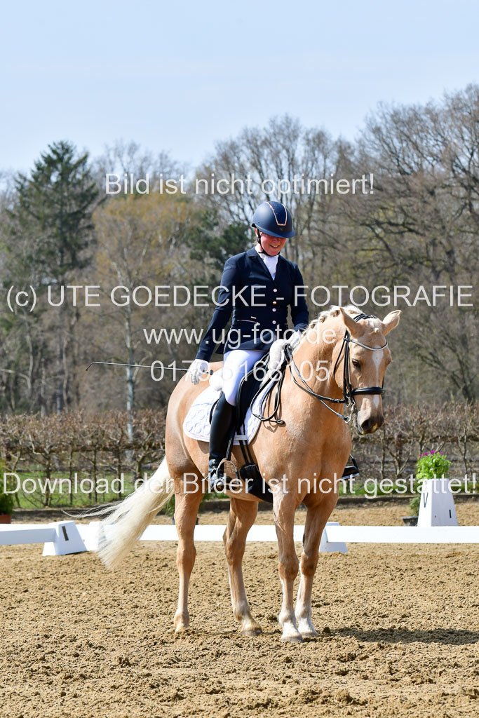 Reitsportzentrum Bremervörde | 170421 Dressur M+ _011
