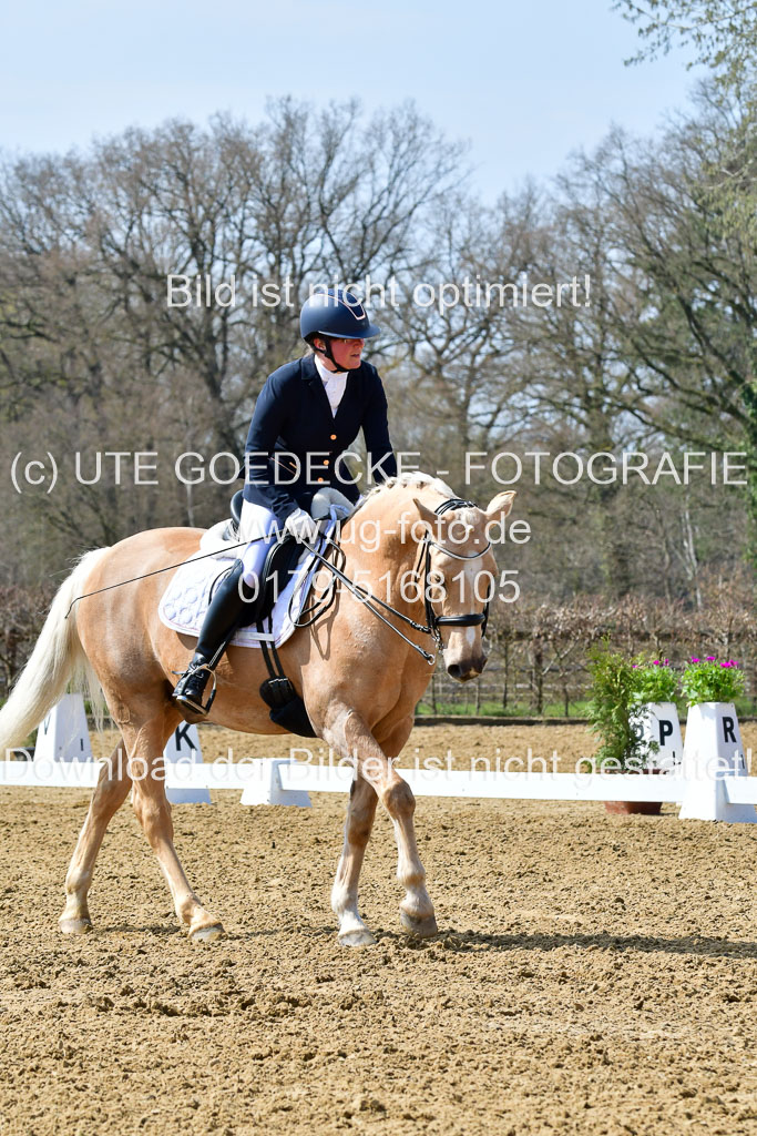 Reitsportzentrum Bremervörde | 170421 Dressur M+ _012