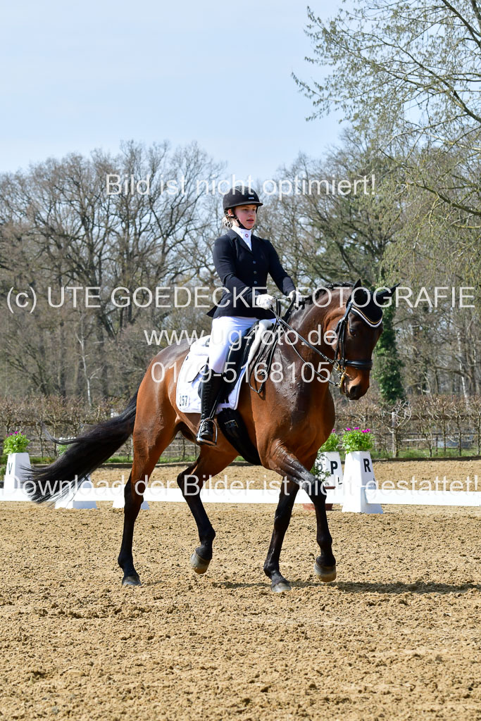 Reitsportzentrum Bremervörde | 170421 Dressur M+ _017