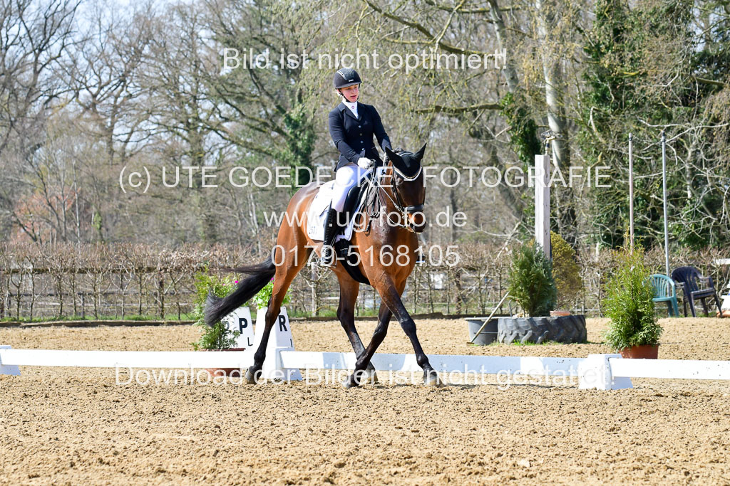 Reitsportzentrum Bremervörde | 170421 Dressur M+ _018