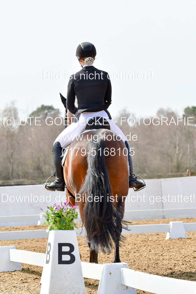 Reitsportzentrum Bremervörde | 170421 Dressur M+ _024