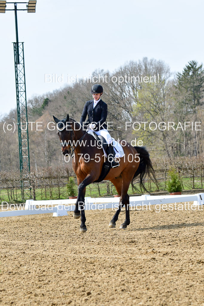 Reitsportzentrum Bremervörde | 170421 Dressur M+ _025