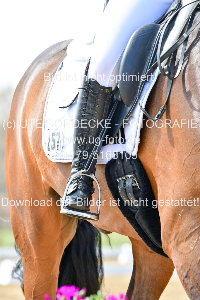 Reitsportzentrum Bremervörde | 170421 Dressur M+ _026 