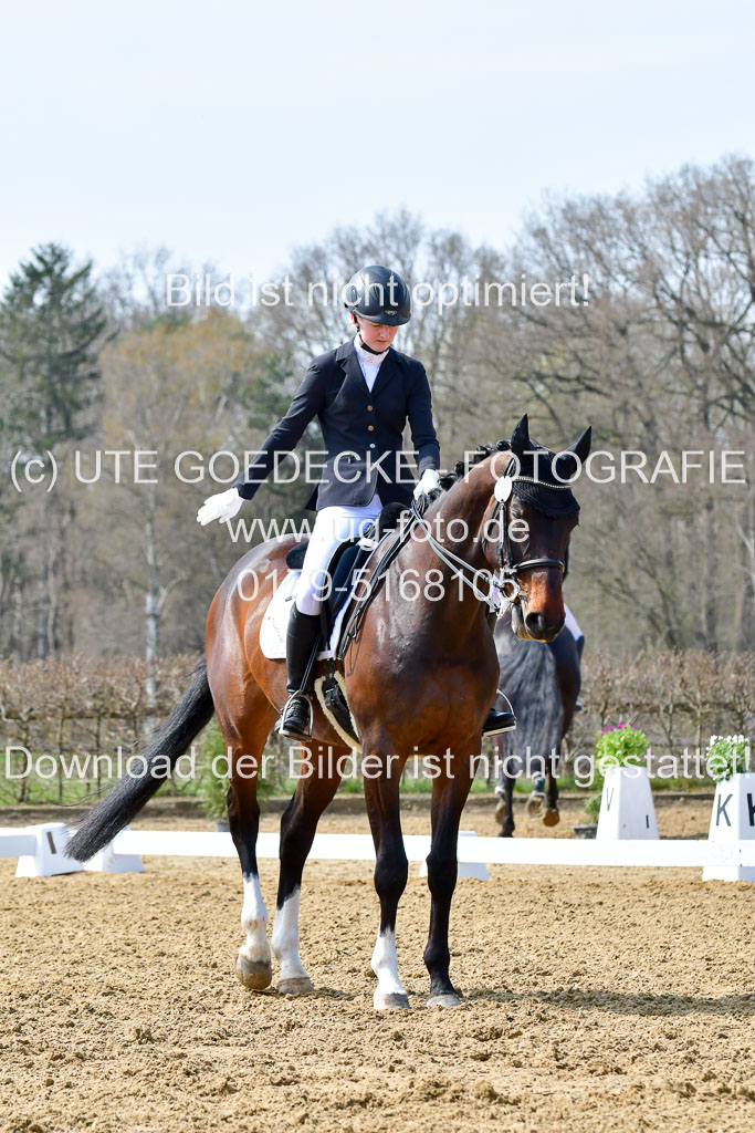 Reitsportzentrum Bremervörde | 170421 Dressur M+ _031 