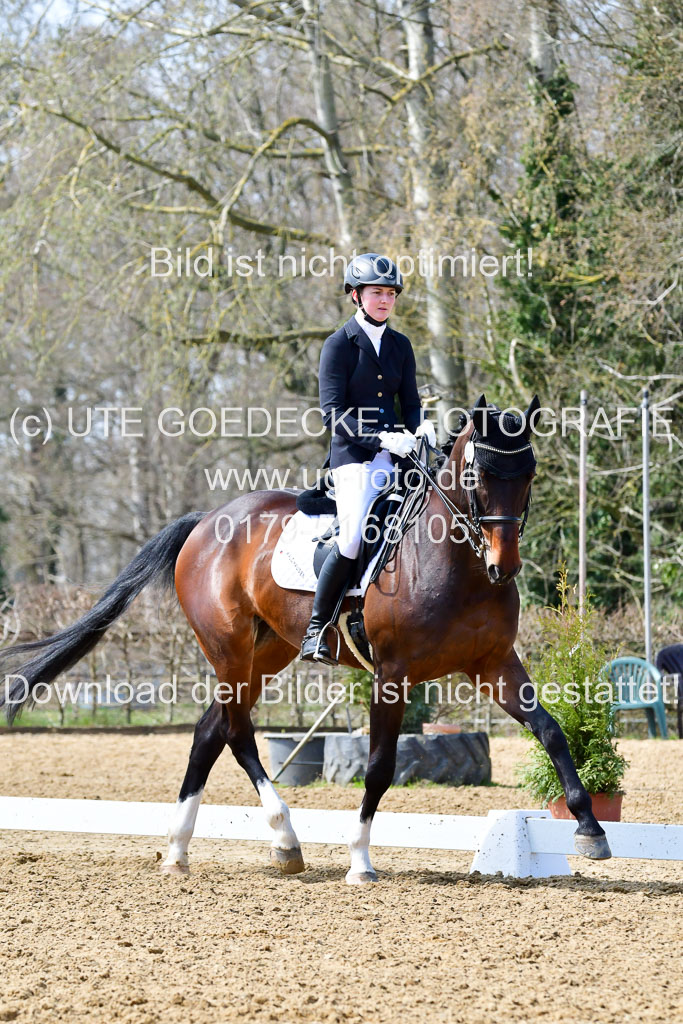 Reitsportzentrum Bremervörde | 170421 Dressur M+ _033
