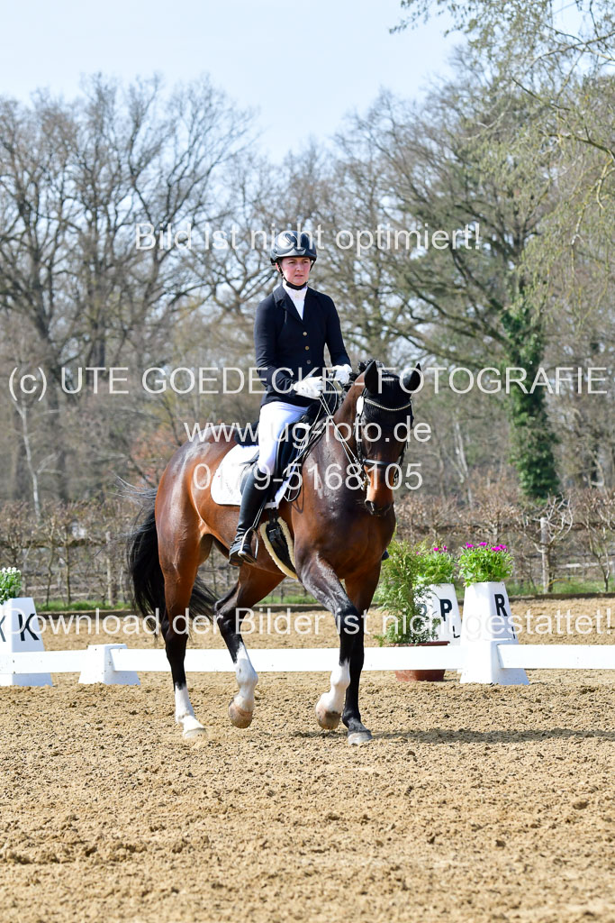 Reitsportzentrum Bremervörde | 170421 Dressur M+ _035