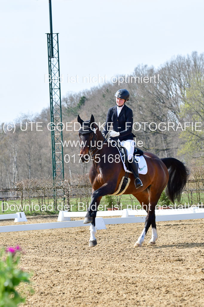 Reitsportzentrum Bremervörde | 170421 Dressur M+ _037