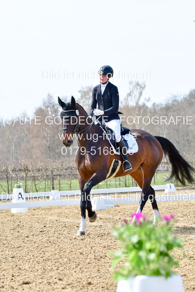 Reitsportzentrum Bremervörde | 170421 Dressur M+ _038