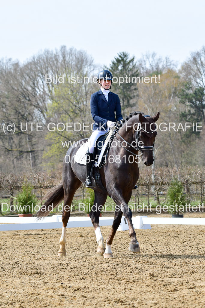 Reitsportzentrum Bremervörde | 170421 Dressur M+ _040