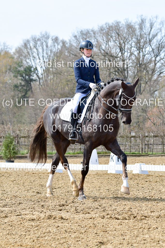 Reitsportzentrum Bremervörde | 170421 Dressur M+ _041 