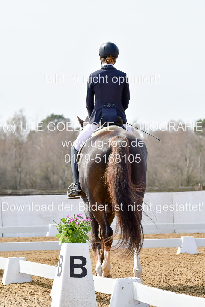 Reitsportzentrum Bremervörde | 170421 Dressur M+ _042