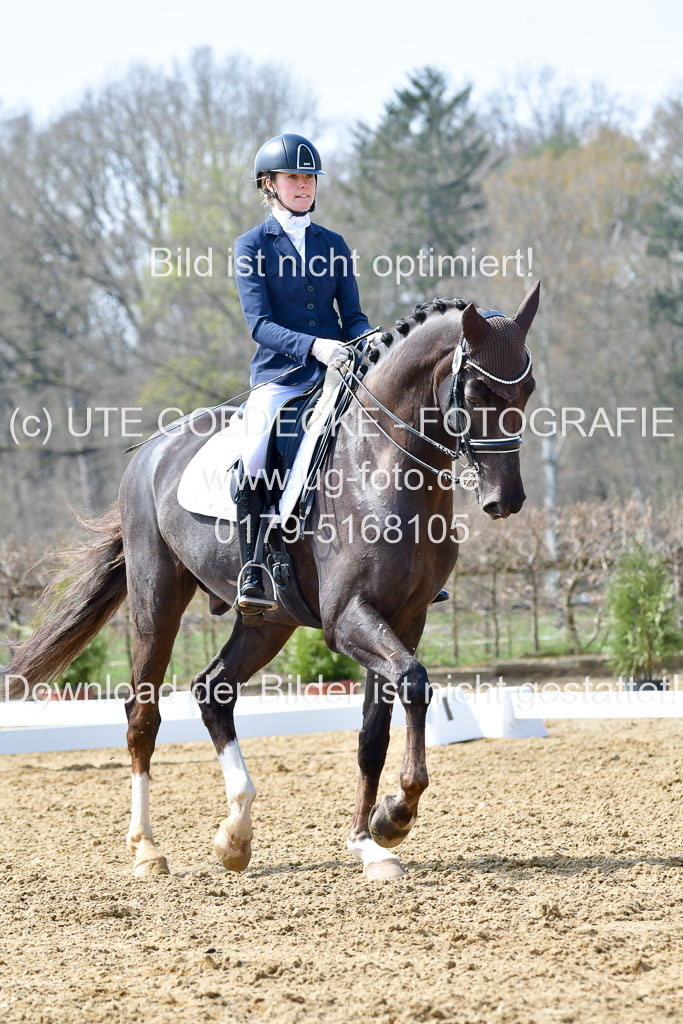 Reitsportzentrum Bremervörde | 170421 Dressur M+ _043 