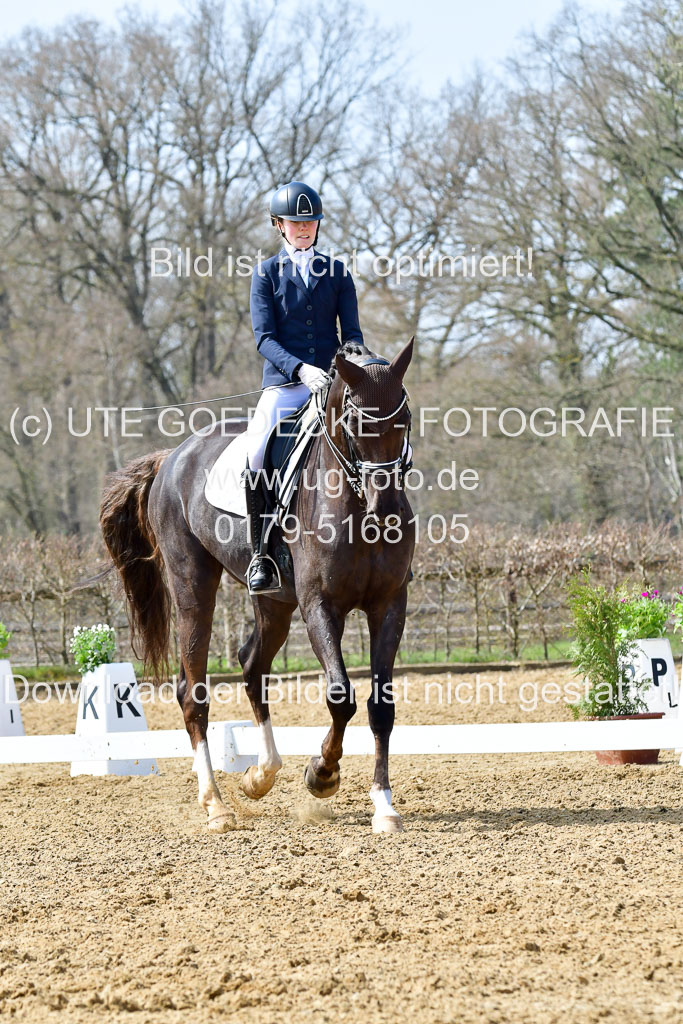 Reitsportzentrum Bremervörde | 170421 Dressur M+ _046