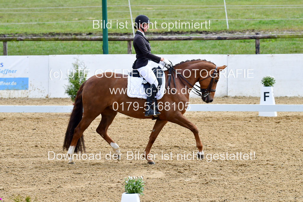 Reitsportzentrum Bremervörde | 170421 Dressur M+ _055