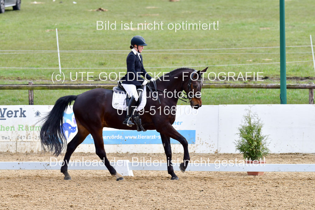 Reitsportzentrum Bremervörde | 170421 Dressur M+ _058
