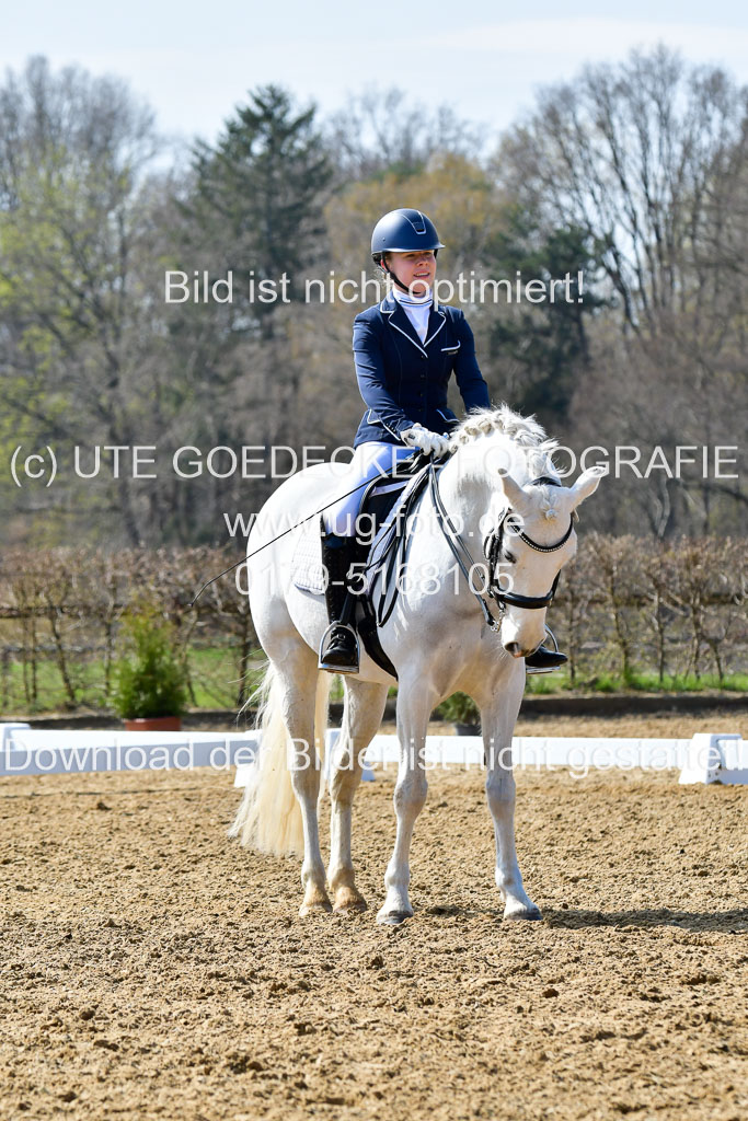 Reitsportzentrum Bremervörde | 170421 Dressur M+ _064