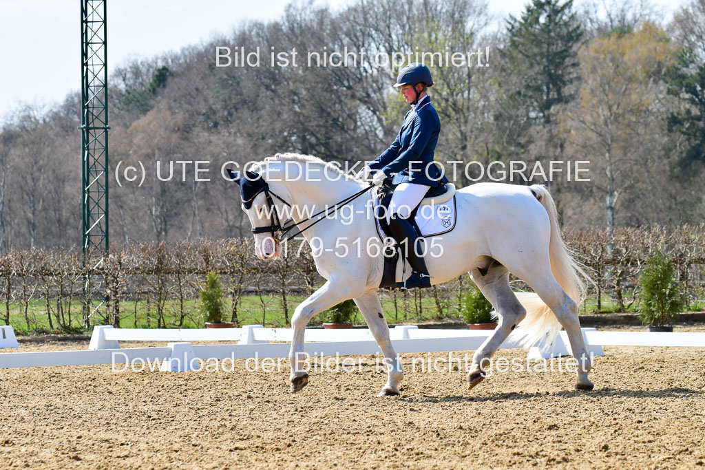 Reitsportzentrum Bremervörde | 170421 Dressur M+ _075 