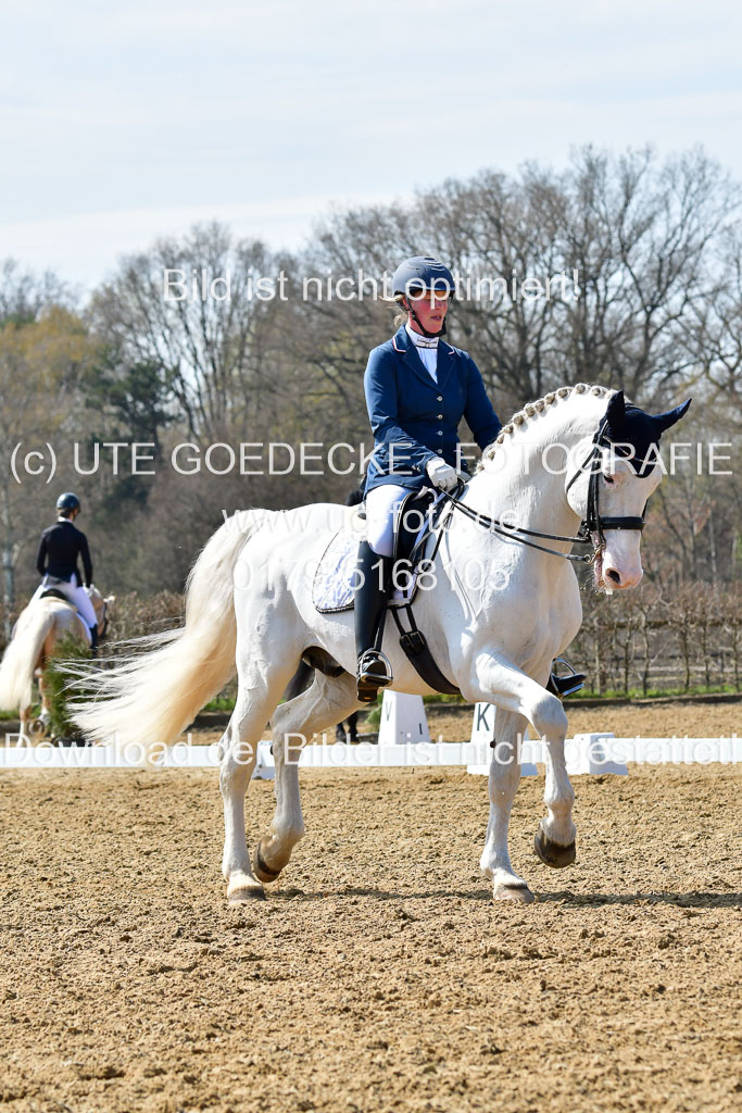 Reitsportzentrum Bremervörde | 170421 Dressur M+ _081
