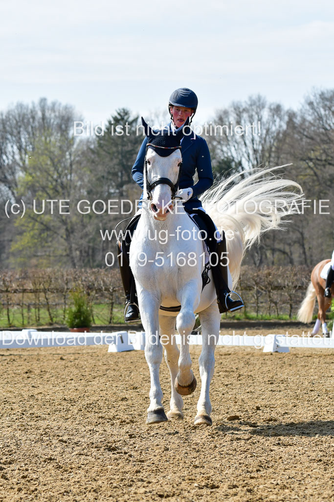 Reitsportzentrum Bremervörde | 170421 Dressur M+ _087