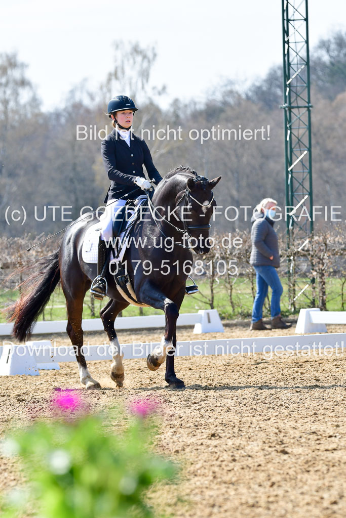Reitsportzentrum Bremervörde | 170421 Dressur M+ _091 