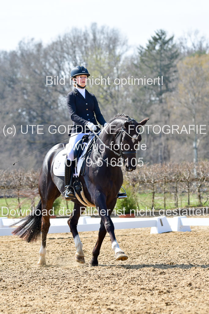 Reitsportzentrum Bremervörde | 170421 Dressur M+ _092