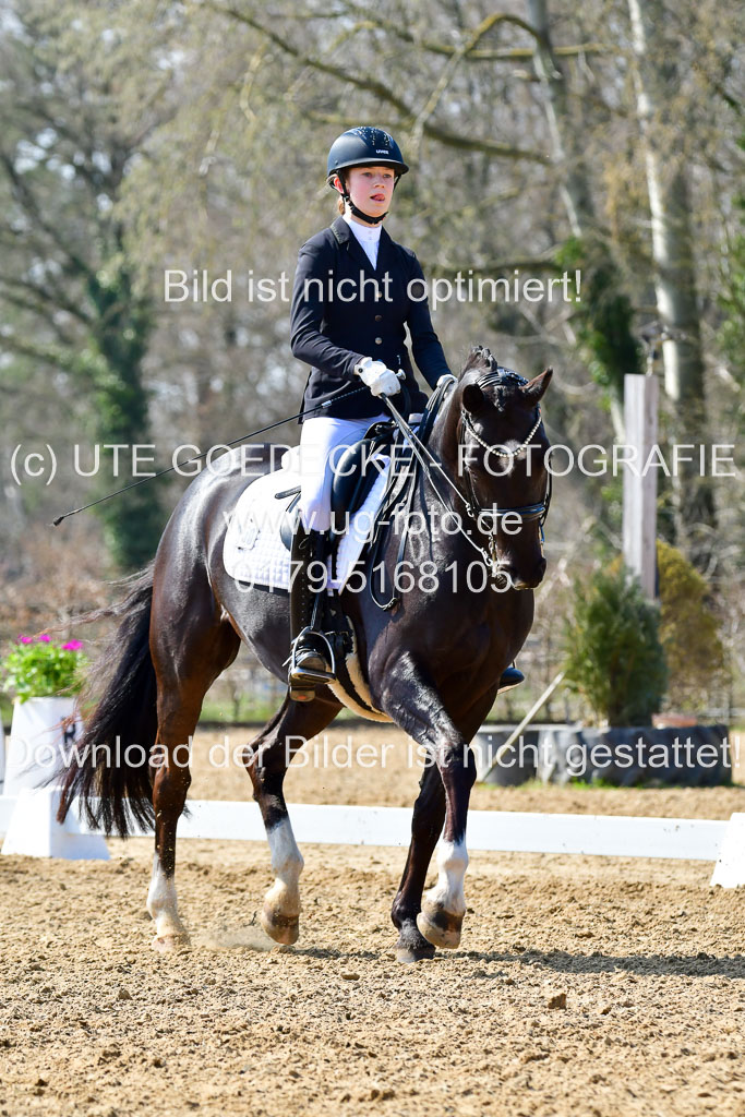 Reitsportzentrum Bremervörde | 170421 Dressur M+ _096
