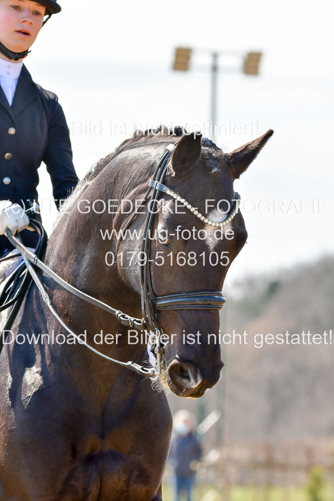 Reitsportzentrum Bremervörde | 170421 Dressur M+ _098