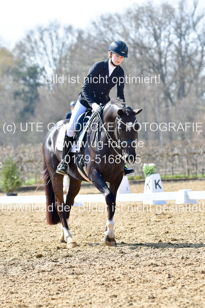 Reitsportzentrum Bremervörde | 170421 Dressur M+ _099