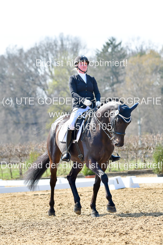 Reitsportzentrum Bremervörde | 170421 Dressur M+ _100