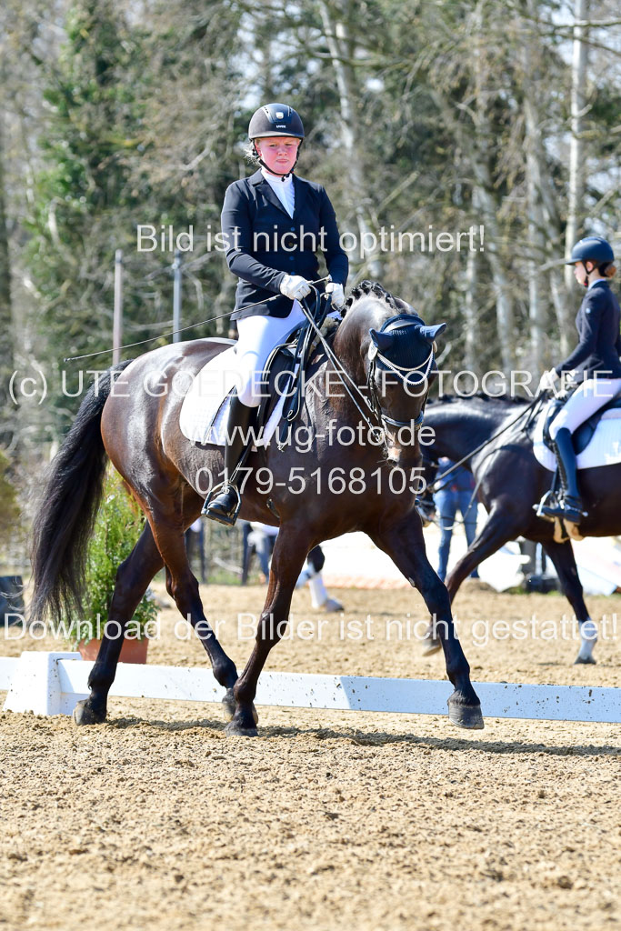 Reitsportzentrum Bremervörde | 170421 Dressur M+ _102