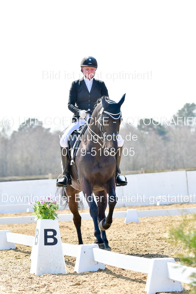 Reitsportzentrum Bremervörde | 170421 Dressur M+ _105 