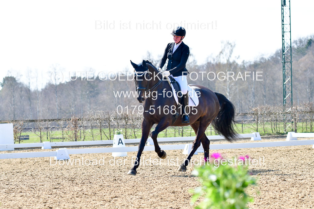 Reitsportzentrum Bremervörde | 170421 Dressur M+ _107