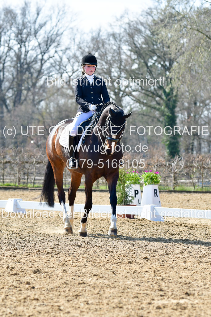 Reitsportzentrum Bremervörde | 170421 Dressur M+ _111