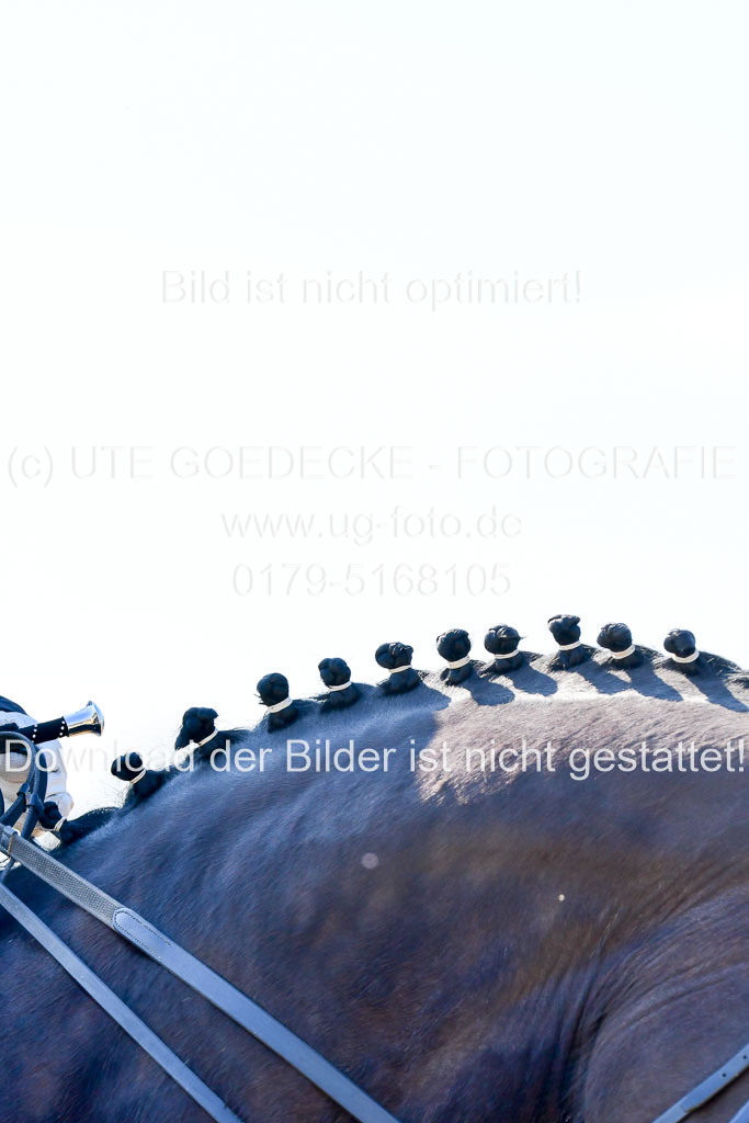 Reitsportzentrum Bremervörde | 170421 Dressur M+ _114