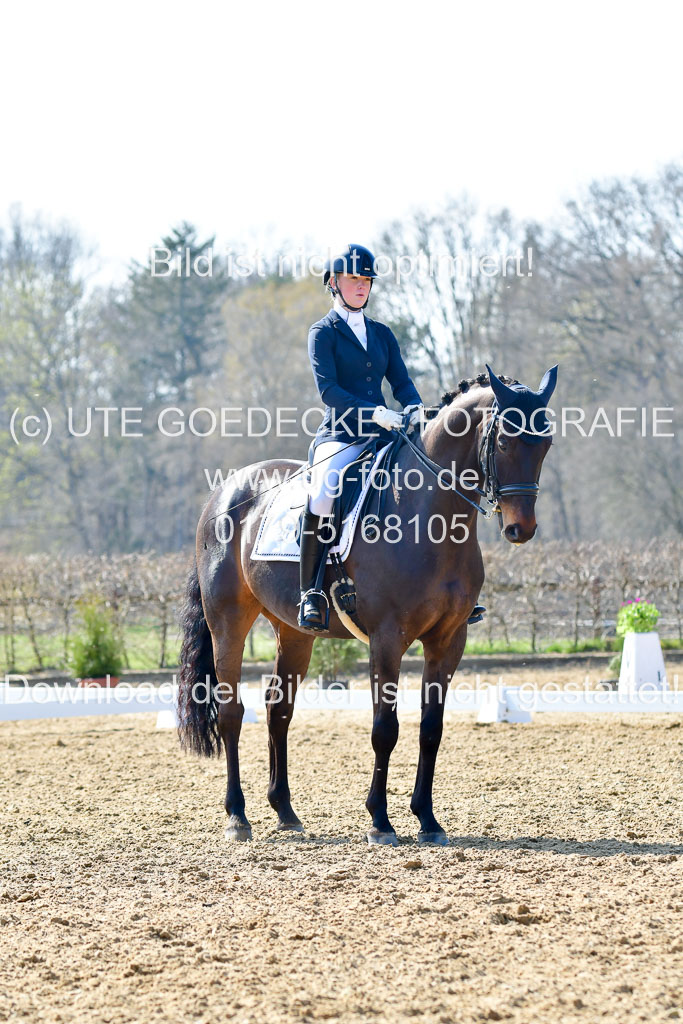 Reitsportzentrum Bremervörde | 170421 Dressur M+ _120 
