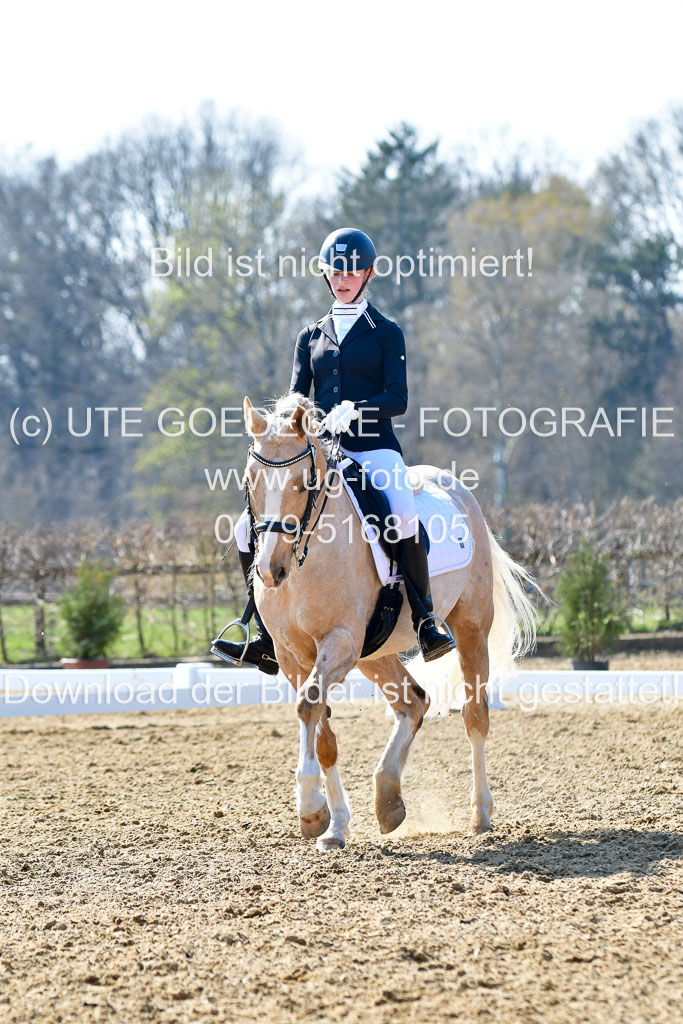 Reitsportzentrum Bremervörde | 170421 Dressur M+ _124