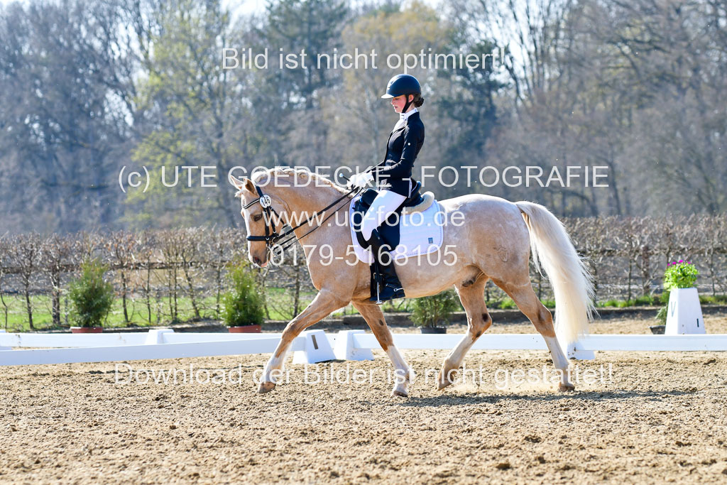 Reitsportzentrum Bremervörde | 170421 Dressur M+ _125