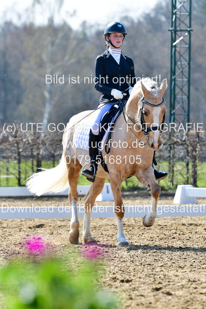 Reitsportzentrum Bremervörde | 170421 Dressur M+ _126 