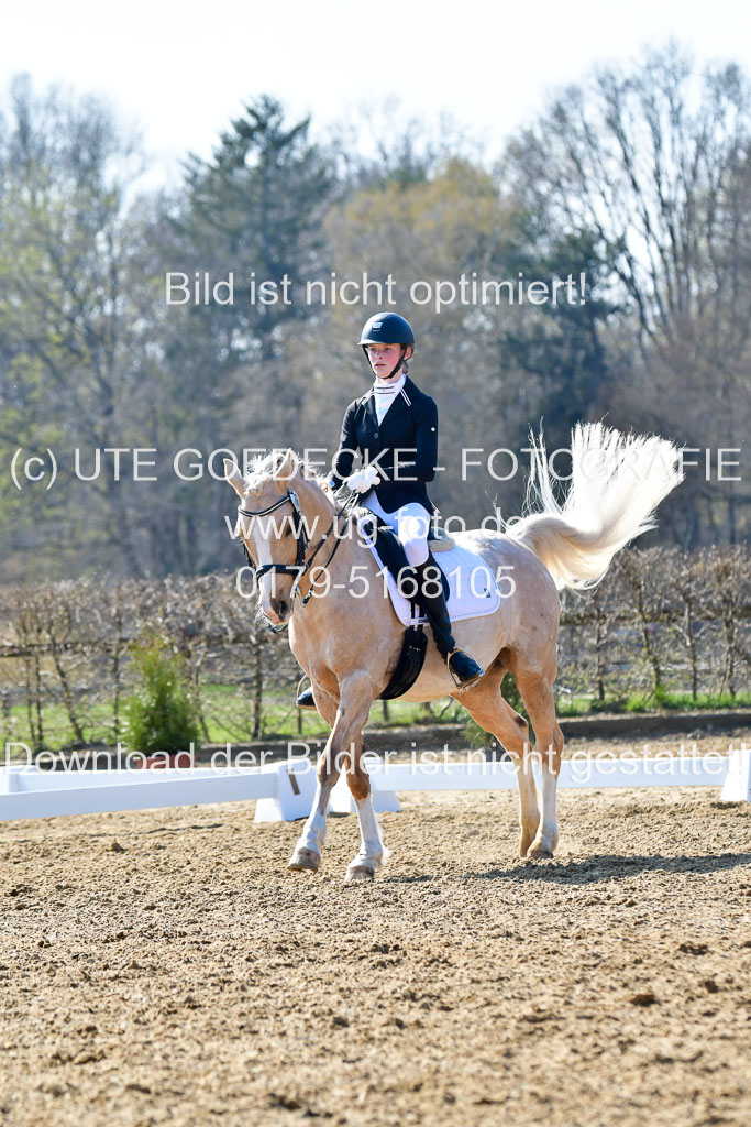 Reitsportzentrum Bremervörde | 170421 Dressur M+ _132