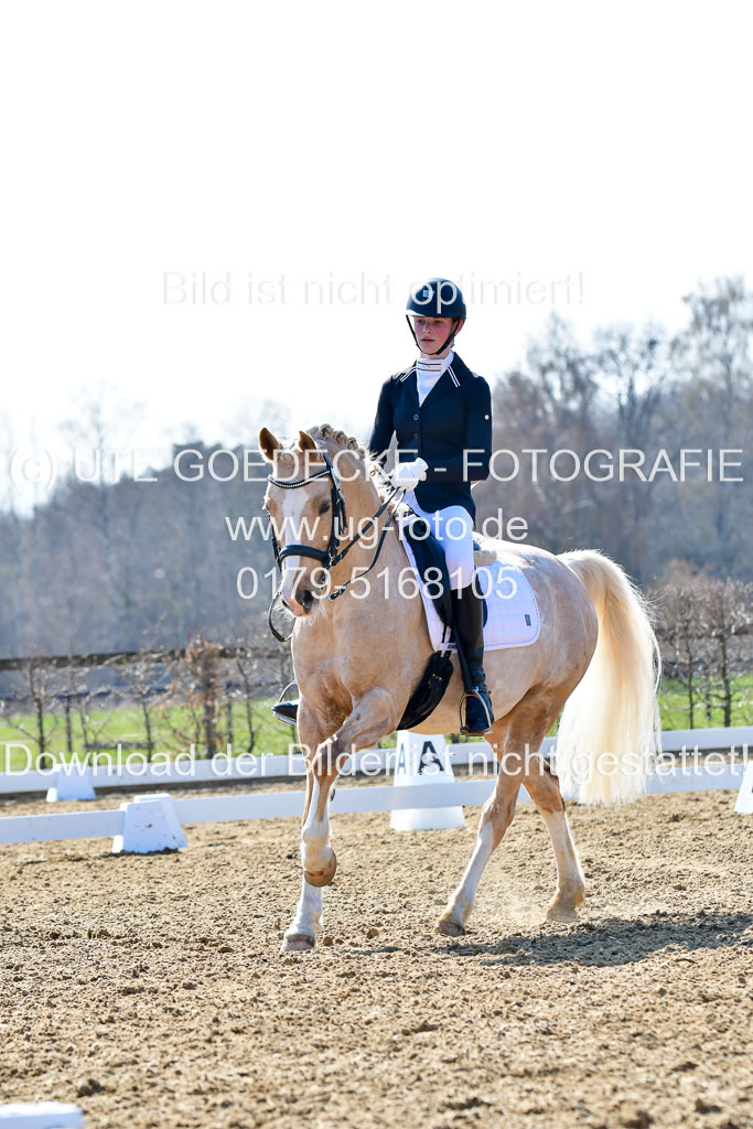 Reitsportzentrum Bremervörde | 170421 Dressur M+ _135