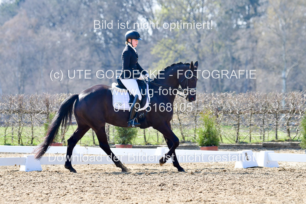 Reitsportzentrum Bremervörde | 170421 Dressur M+ _138