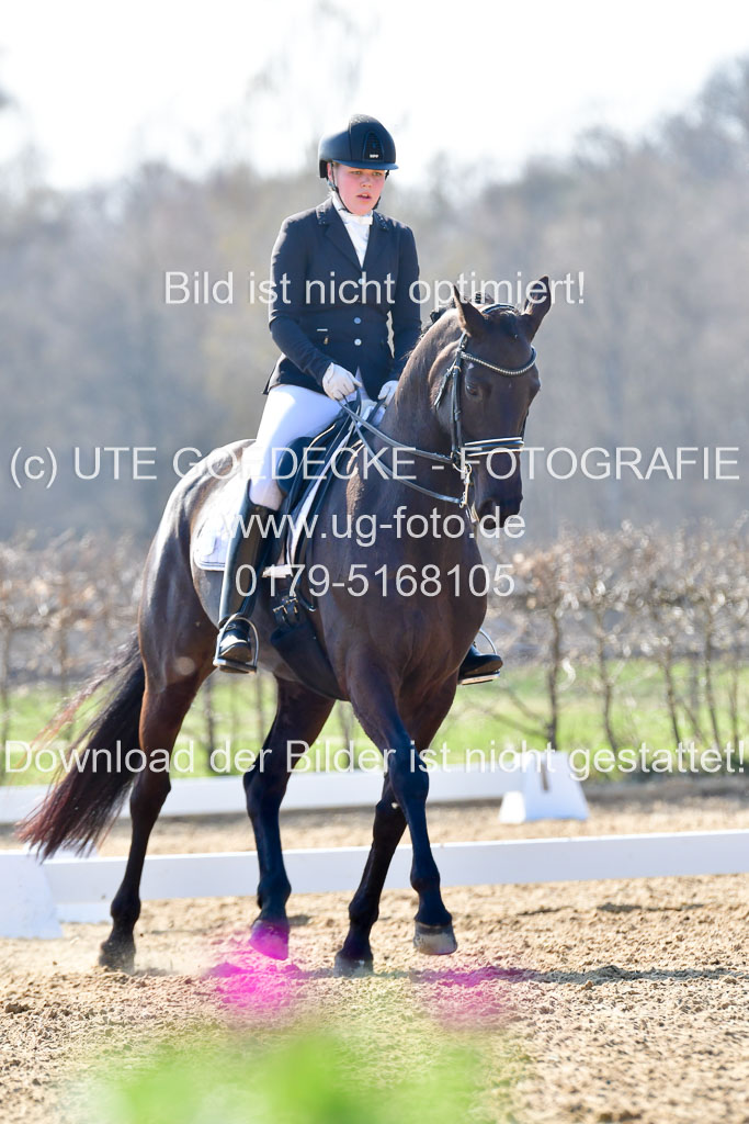 Reitsportzentrum Bremervörde | 170421 Dressur M+ _141